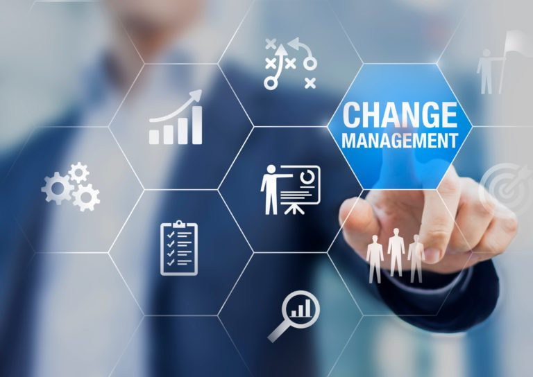 Change Management Consultants