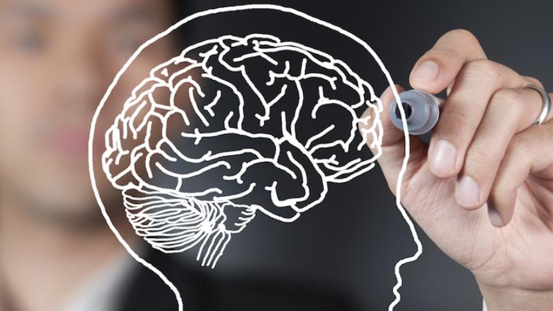 Inside the Mind Of Client - How Neuromarketing Is Rewriting the Rules of Marketing
