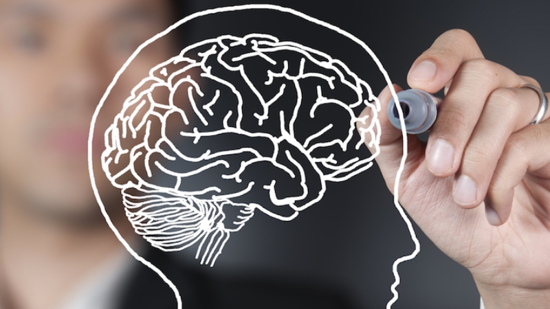  Inside the Mind Of Client - How Neuromarketing Is Rewriting the Rules of Marketing