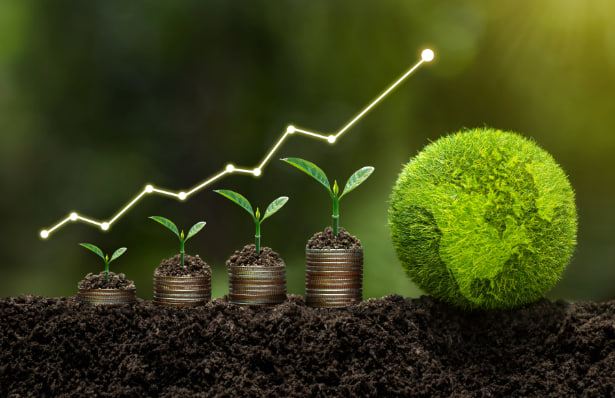 أهمية استشارات (ESG) المُتزايدة للشركات والمستثمرين