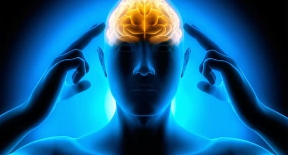 تأثير الحالة العقلية في الإنتاجية تأثير الحالة العقلية في الإنتاجية