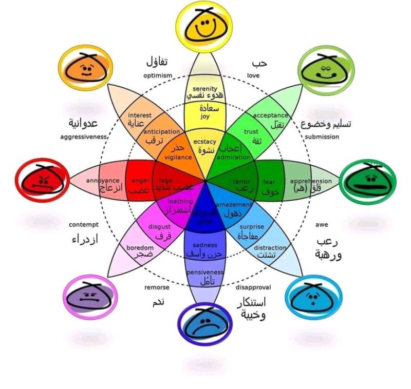 جوانب وكفاءات الذكاء العاطفي جوانب وكفاءات الذكاء العاطفي